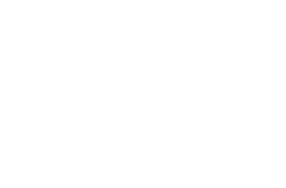 logo-stryker-reverse
