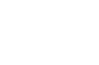 logo-guardian-reverse